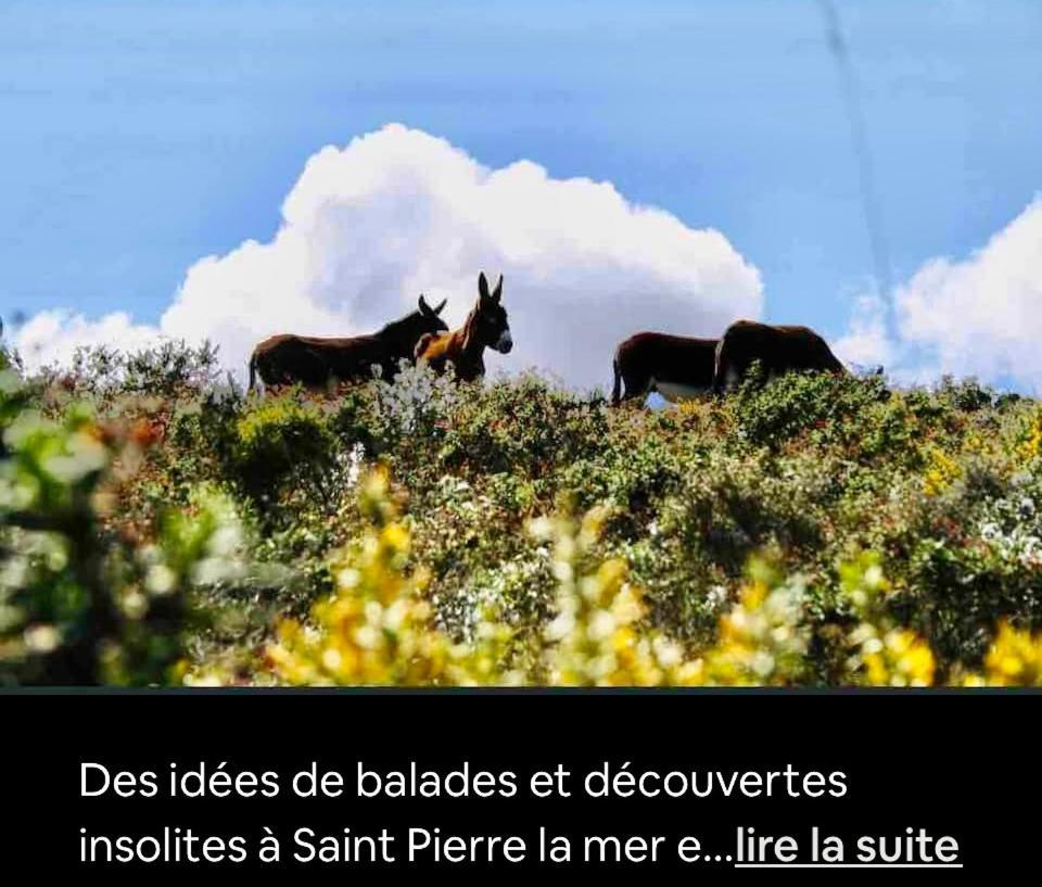Face A La Mer Fleury Fleury  Luaran gambar